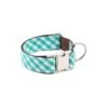 Collier Pour Chien Pedrosa