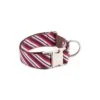 Collier Pour Chien Calella