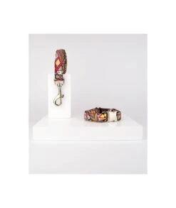 Laisse Pour Chien Barcelona