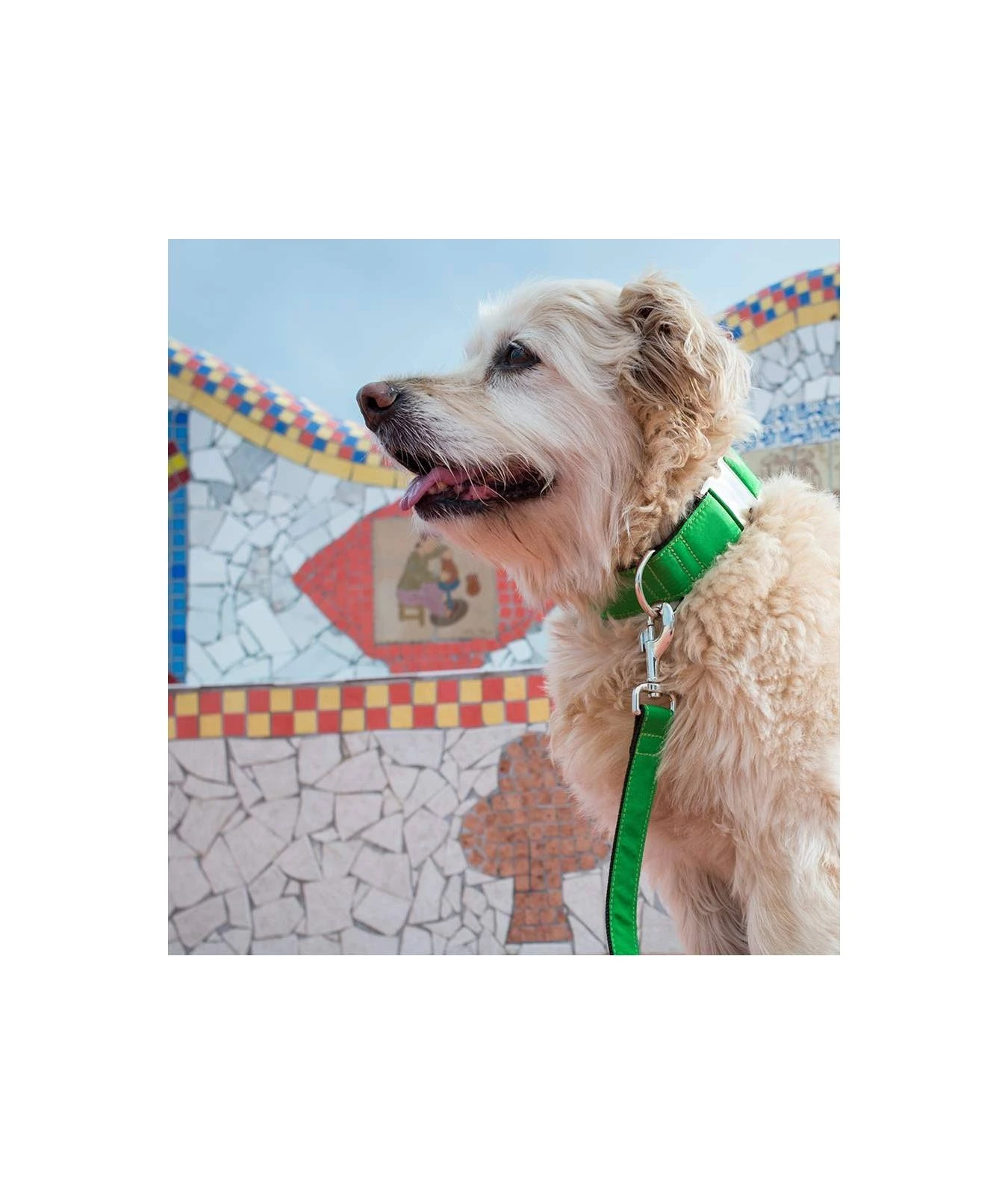 Laisse Pour Chien Solid Forest 2 Laisse Pour Chien Solid Forest – Image 2