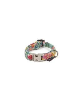 Collier Pour Chien Perelada -Chats Chiens Fournitures Magasin collar perro estampado textura perelada 7ed15f68 11e5 48d2 82e2 2ddb691c5b9c