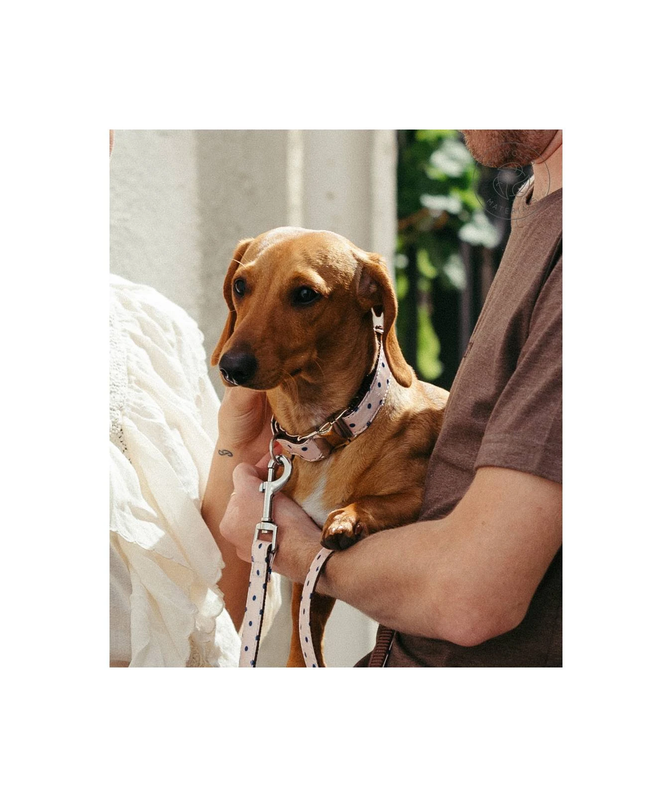 Laisse Pour Chien Sarria 2 Laisse Pour Chien Sarria – Image 2