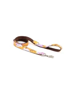 Collier Pour Chien Teia -Chats Chiens Fournitures Magasin collar perro estampado textura teia a8562b61 e270 4dda 8ba5 87a7f8dcf394