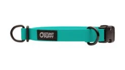 Collier Pour Chien Imperméable En Biothane 12 Collier Pour Chien Imperméable En Biothane -Chats Chiens Fournitures Magasin dcs teal 1024x1024 5b11fb85 3252 4a40 81e3 b6118a7ac963