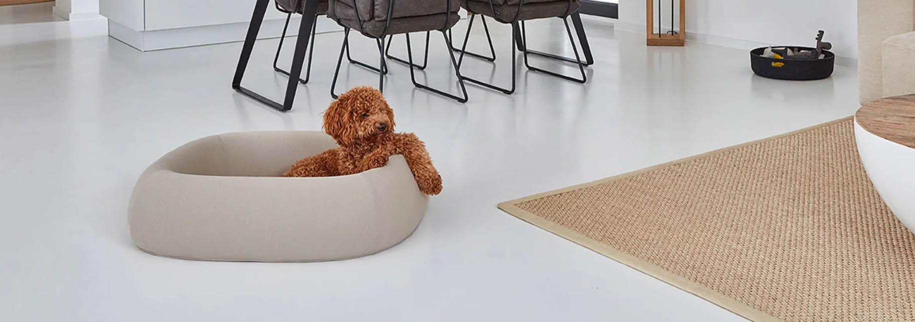 Chats Chiens Fournitures Magasin -Chats Chiens Fournitures Magasin dgdg