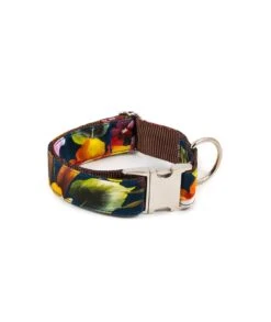 Laisse Pour Chien Tiana -Chats Chiens Fournitures Magasin dog collar brottdog textura tiana c3242747 afee 4068 b3e6 ebdfc0cc2d6d