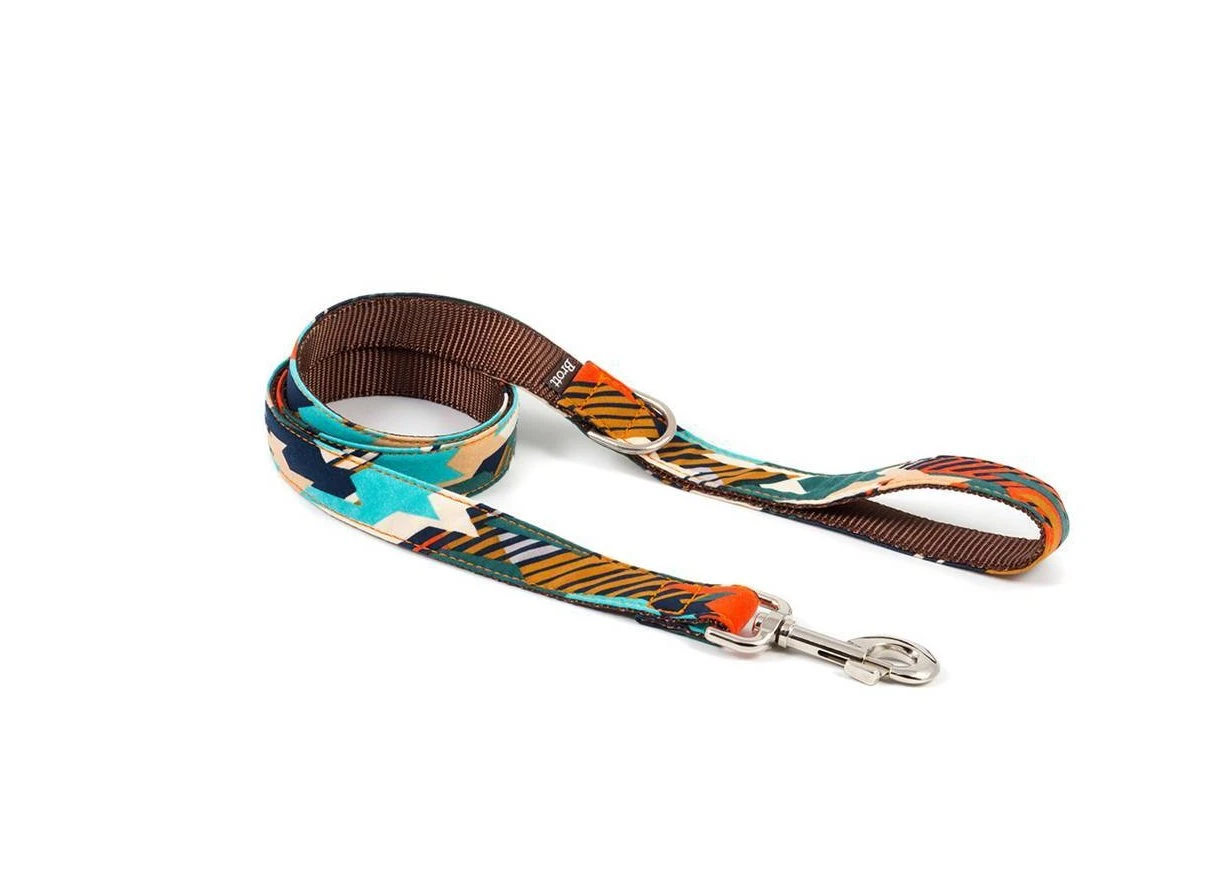 Laisse Pour Chien Torms 1 Laisse Pour Chien Torms