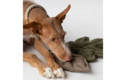 Peluches Pour Chien Feuilles D’arbre -Chats Chiens Fournitures Magasin dog toy 03f6bc6f ecb4 4bd9 bf8c 62b0caeaa46b