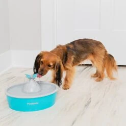 PetSafe Fontaine à Eau Butterfly Drinkwell 7 PetSafe Fontaine à Eau Butterfly Drinkwell -Chats Chiens Fournitures Magasin dogdrinkingfountain 1024x1024 2x e345ba43 8a0c 432d 8900 3ca3b79a11b2