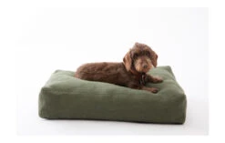 Coussin Pour Chien Elliott En Fibre De Jute (4 Couleurs) -Chats Chiens Fournitures Magasin elliott jute cushions ed87b35c dc71 41f8 adc7 1e108cebccc3