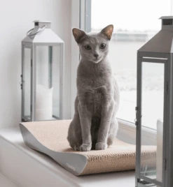 Griffoir En Carton Pour Chat Design TOBI -Chats Chiens Fournitures Magasin eng pl Scratcher TOBI grey 74 9