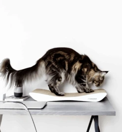 Griffoir En Carton Pour Chat Design TOBI -Chats Chiens Fournitures Magasin eng pl Scratcher TOBI white 19 7