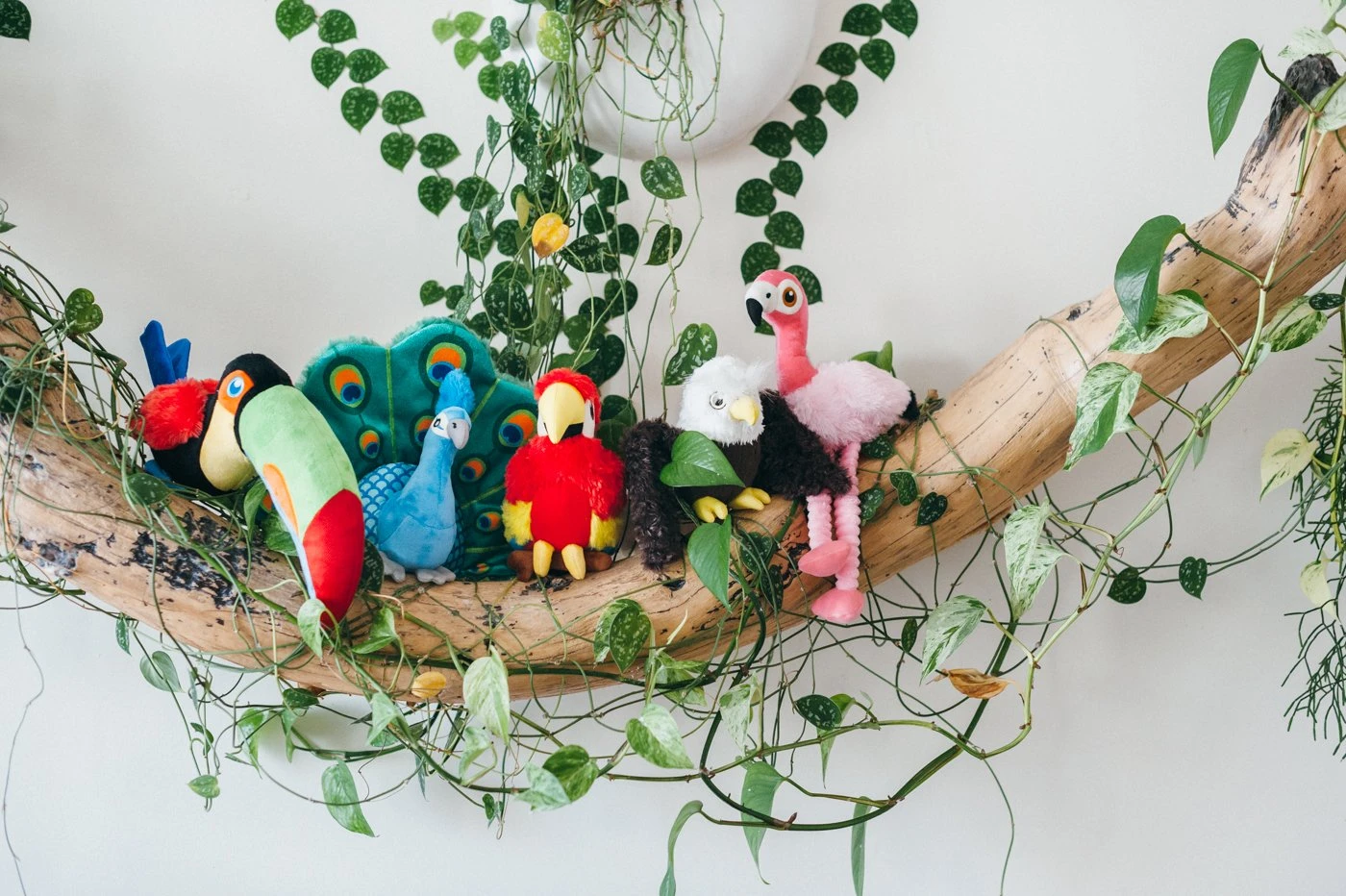 PLAY Peluche Perroquet 4 PLAY Peluche Perroquet – Image 4