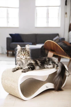 Griffoir Pour Chat Design LUI My Kotty -Chats Chiens Fournitures Magasin fuji oti 24 1
