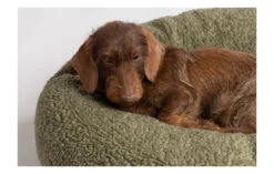 Coussin Apaisant Pour Chien En Laine -Chats Chiens Fournitures Magasin fulvio wool cushions abba2ee1 7ecc 4a5a a15c 969544bd6308