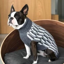 Pull Pour Chien Giulia 5 Pull Pour Chien Giulia -Chats Chiens Fournitures Magasin giulia grey life 1024x f7070200 1947 4996 b7bd dbb8e7167074