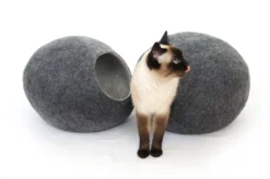 Chats Chiens Fournitures Magasin -Chats Chiens Fournitures Magasin grey 2 scaled