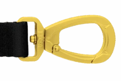 Laisse Gold Caviar -Chats Chiens Fournitures Magasin guinzaglio gold caviar header top trasparente 02 b v2