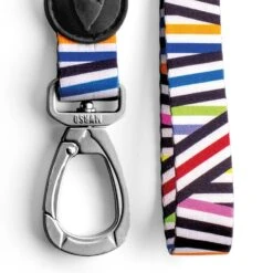 Laisse Spaghetti -Chats Chiens Fournitures Magasin guinzaglio spaghetti incident mini gallery img 04 v2