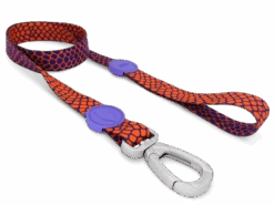 Laisse Urban Lizard -Chats Chiens Fournitures Magasin guinzaglio urban lizard header img03
