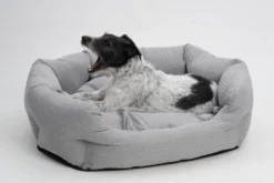 Lit Ovale Loomi -Chats Chiens Fournitures Magasin hundekoerbchen loomi grau 3 scaled