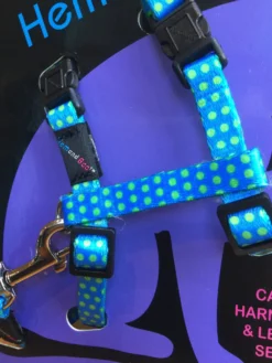 Harnais Et Laisse à Pois Pour Chat -Chats Chiens Fournitures Magasin image 9c6b61b8 3f17 4850 9b2a beb28f015ea9 scaled