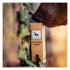 Sérum Premiers Soins Pour Chien Et Chat -Chats Chiens Fournitures Magasin image 9e0456c3 c897 4394 945c f324549d4041