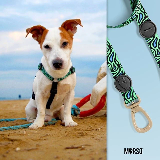 Harnais En H Pour Chien Rage Labyrinth 4 Harnais En H Pour Chien Rage Labyrinth – Image 4