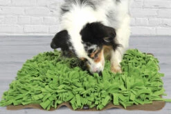 Tapis De Fouille Gazon Schnüffelrasen -Chats Chiens Fournitures Magasin image b79f824c fdab 44fd a29b 8e1f14c77a04