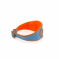 Collier Pour Lévrier En Cuir Dwam -Chats Chiens Fournitures Magasin image ba14bda9 e908 4bc5 8610 0dab6d9cc0ce