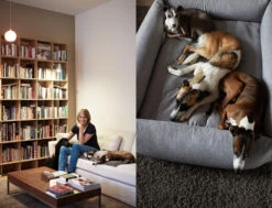 Panier Pour Chien Tweed Gris Clair Sleepy Deluxe -Chats Chiens Fournitures Magasin katharina von der leyen luise harry fritz gretel sleepy deluxe