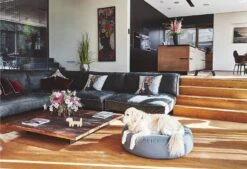 Pouf Pour Chien Stella 9 Pouf Pour Chien Stella -Chats Chiens Fournitures Magasin mc c01 015 02 ml sleep stella pouffe slate fly 132