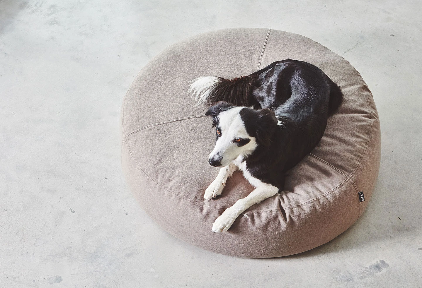 Pouf Pour Chien Stella 6 Pouf Pour Chien Stella – Image 6