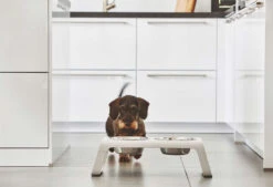 Double écuelle Surélevée Design Pour Chien Desco Bois 11 Double écuelle Surélevée Design Pour Chien Desco Bois -Chats Chiens Fournitures Magasin mc c06 007 02 m eat desco ash white simba 2205 2