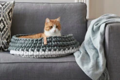 Panier Pour Chat Nido -Chats Chiens Fournitures Magasin mc g02 005 02 sleep nido grey singa 2 261 web 1 67c500f2 ec6e 4f82 9813 cd3b4e15c214