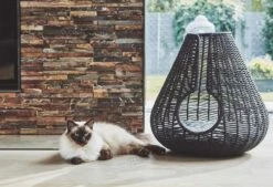 Maison Pour Chat Perla -Chats Chiens Fournitures Magasin mc g02 010 02 sleep perla anthracite mio 343 984