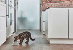 Double écuelle Design Pour Chat Cena -Chats Chiens Fournitures Magasin mc g06 005 01 s eat cena stone molly samu 2595 v2 1