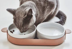 Bols Doubles Pour Chat Tavoletta -Chats Chiens Fournitures Magasin mc g06 010 02 eat tavoletta cat feeder nude mia 06 1