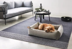 Lit Pour Chien Orthopédique Mare -Chats Chiens Fournitures Magasin mc mare sand 2 recolored