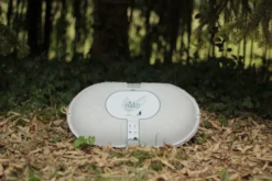 Nidoo, L'arbre Après La Vie -Chats Chiens Fournitures Magasin nidoo photo scaled