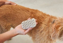 Brosse Pour Chien (poil Court Et Long) -Chats Chiens Fournitures Magasin pelo bildergalerie2
