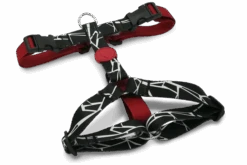 Harnais En H Pour Chien Broken Self