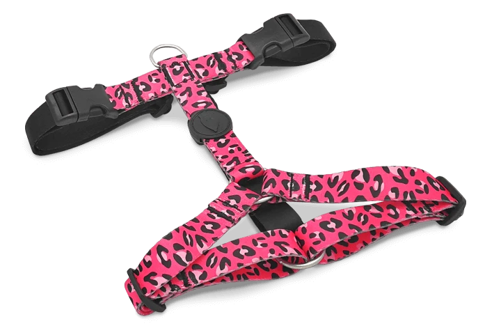 Harnais En H Pour Chien Bubble Leo 1 Harnais En H Pour Chien Bubble Leo