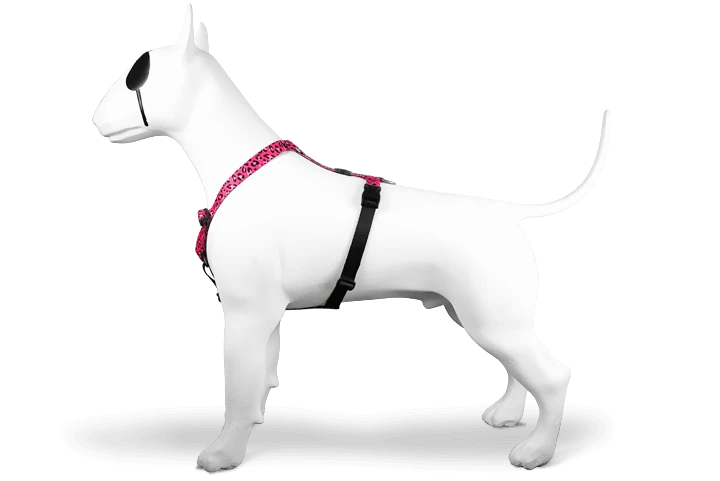 Harnais En H Pour Chien Bubble Leo 2 Harnais En H Pour Chien Bubble Leo – Image 2