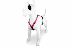 Harnais En H Pour Chien Bubble Leo 5 Harnais En H Pour Chien Bubble Leo -Chats Chiens Fournitures Magasin pettorina h bubble leo header top transparent c