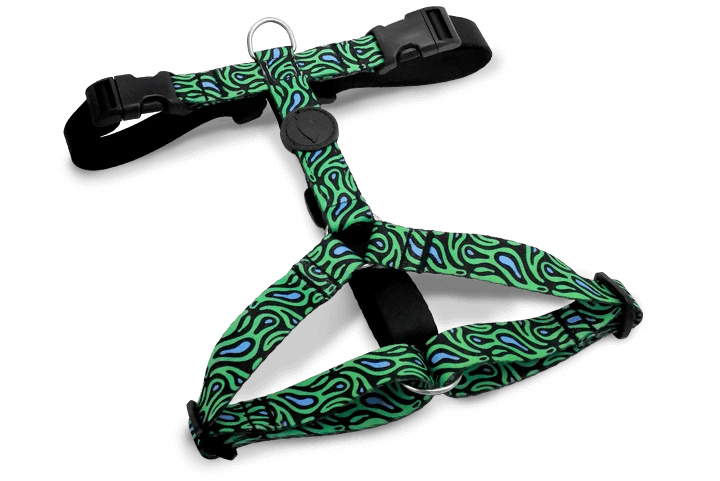 Harnais En H Pour Chien Rage Labyrinth 1 Harnais En H Pour Chien Rage Labyrinth