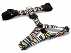 Harnais En H Pour Chien Spaghetti