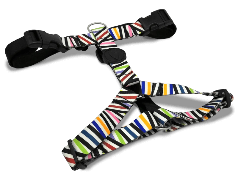 Harnais En H Pour Chien Spaghetti 1 Harnais En H Pour Chien Spaghetti