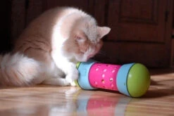 Pipolino M -Chats Chiens Fournitures Magasin pipolino chat 2664c1c4 dcc5 4239 9d44 3a71f002fe4d