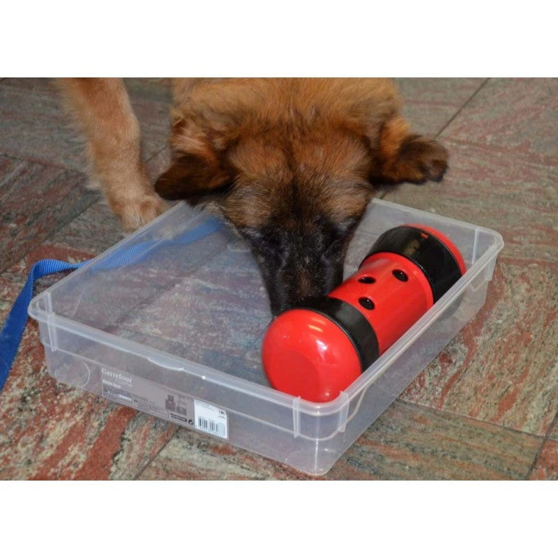 Pipolino L 2 Pipolino L – Image 2